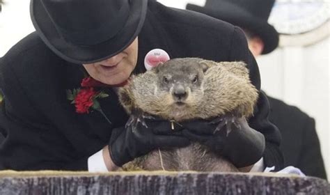 punxsutawney phil age|punxsutawney phil death.
